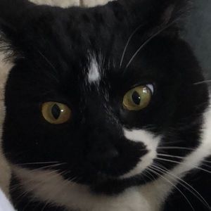 Meet your Posher, William